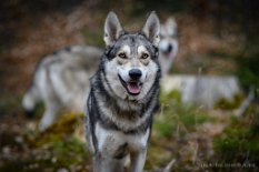 DSC_2467_2_Jahre 2 Jahre alt