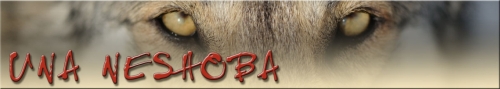Saarlooswolfhond Kennel Una Neshoba Banner