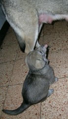 20040104_Nisha_lecker_schmecker