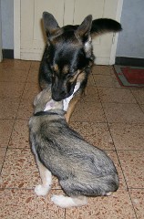 20040201_Lady_Yuma1