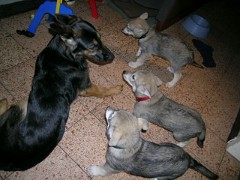 20040201_Nisha_Luna_Lady_Yuma