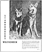 01Stammeltern