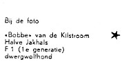 06jakhalshondbobbe