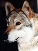 32Kara van de Kilstroom