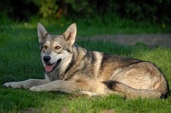 DSC_1912_1_Jahr