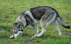 DSC_1945_1_Jahr