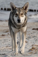 DSC_2135_1.5_Jahre