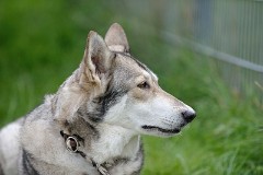 DSC_4943_7_Jahre_4_Monate