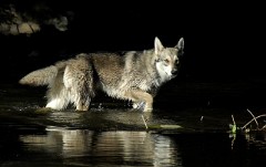 DSC_5375_1_Jahr