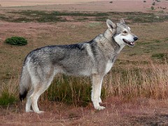 P7060078_2_Jahre_3_Monate