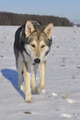 0347_1_Jahr_10_Monate