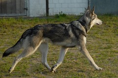 DSC_0310_1_Jahr_4_Monate