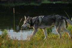 DSC_0326_1_Jahr_4_Monate