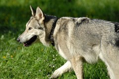 DSC_5280_1_Jahr
