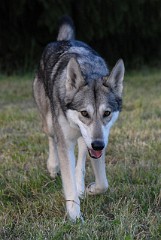 DSC_1828_2.5_Jahre