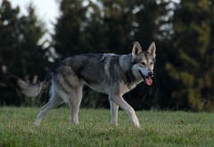 DSC_1873_2.5_Jahre