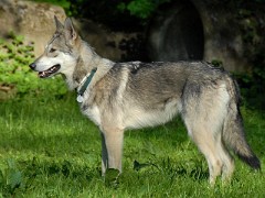 DSC_3327_1_Jahr