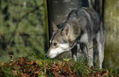 DSC_3580_1_Jahr_7_Monate