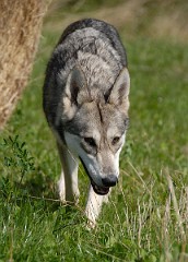 DSC_8041_1_Jahr_4_Monate