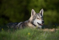 DSC_9295_10_Jahre_alt