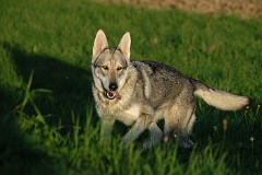 DSC_0086_2_Jahre_4_Monate