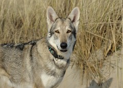 DSC_0287_8_Jahre