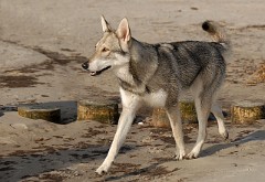 DSC_1825_1.5_Jahre
