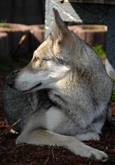 DSC_2611_1_Jahr