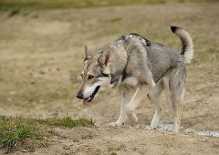 DSC_4165_4_Jahre