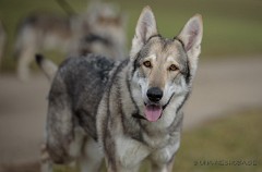 DSC_5865_9_Jahre_10_Monate