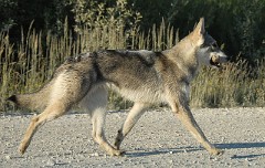 DSC_6819_1_Jahr_2_Monate