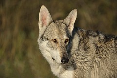 DSC_8440_5_Jahre_5_Monate