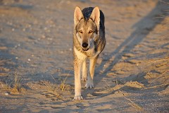 DSC_9784_6_Jahre_10_Monate