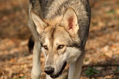 Bild 190_8.5_Monate