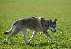 DSC_0686_4_Jahre_10_Monate