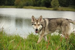 DSC_8108_2_Jahre