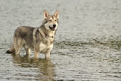DSC_8153_2_Jahre