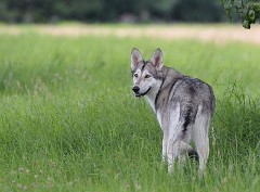 DSC_8436_1_Jahr