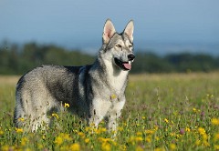 DSC_8816_1_Jahr