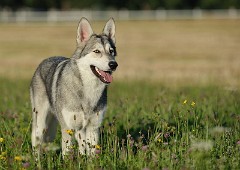 DSC_8915_1_Jahr