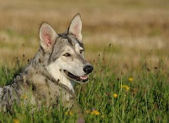 DSC_8937_1_Jahr