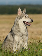 DSC_8940_1_Jahr