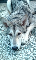 IMAG0209_8.5_Monate