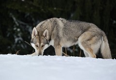 DSC_4991_2.5_Jahre