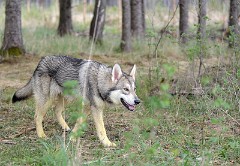 DSC_5531_9.5_Monate