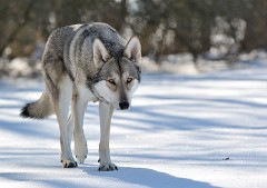 DSC_5886_2.5_Jahre
