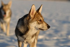 DSC_6127_20_Wochen