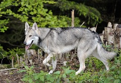 DSC_1577_1_Jahr_7_Monate
