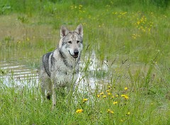 DSC_2058_1_Jahr_7_Monate