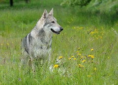 DSC_2061_1_Jahr_7_Monate